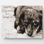 Plaque Photo L'amour appartient à un Dachshund (Devant)