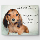 Plaque Photo L'amour appartient à un Dachshund-Pixel (Devant)