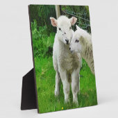 PLAQUE PHOTO LAMPES DE PRINTEMPS (Côté)