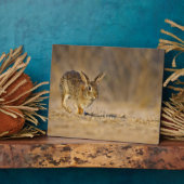 Plaque Photo lapin à queue blanche sautant (Côté)