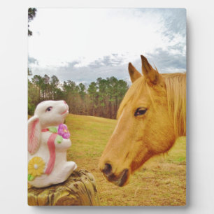 Plaque Photo Lapin blanc et Cheval jaune