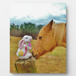 Plaque Photo Lapin blanc et Cheval jaune