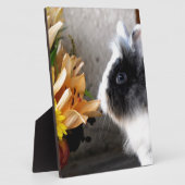 Plaque Photo Lapin nain noir et blanc (Côté)