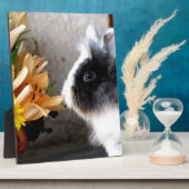 Plaque Photo Lapin nain noir et blanc (Côté)
