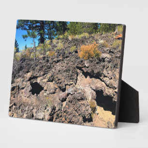 Plaque Photo Lava Cast Forest, OR