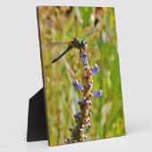 Plaque Photo Lavande (Côté)