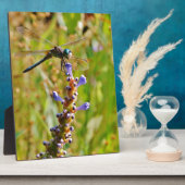 Plaque Photo Lavande (Côté)