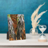 Plaque Photo Lavande pendue dans une grange (Côté)