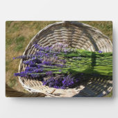 Plaque Photo Lavender (Devant)