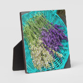 Plaque Photo Lavender (Recto)