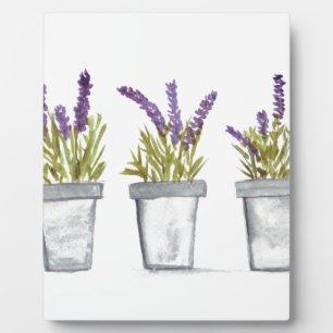 Plaque Photo Lavender herb pots