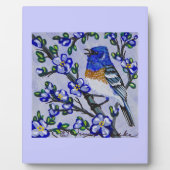 Plaque Photo Lazuli Bunting (Devant)