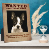 Plaque Photo Le Boston Terrier sauteur (Côté)