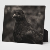 Plaque Photo Le chercheur (Côté)