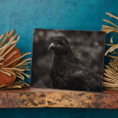 Plaque Photo Le chercheur (Côté)