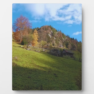 Plaque Photo Le Haut Pré - Nature Sauvage Roumanie