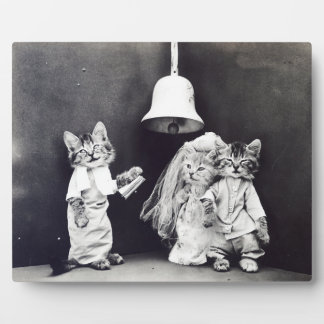 Plaque Photo Le Mariage Harry Whittier Frees 1914