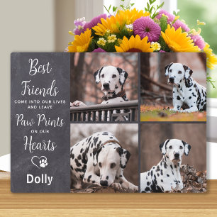 Plaque Photo Le Meilleur Ami de l'Homme Sympathie Photo Chien A