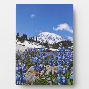 Plaque Photo Le Mont Rainier à Paradise Point