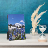 Plaque Photo Le Mont Rainier à Paradise Point (Côté)