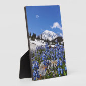 Plaque Photo Le Mont Rainier à Paradise Point (Côté)