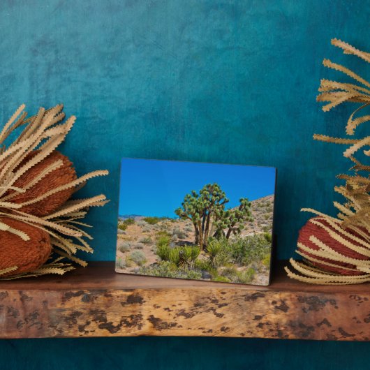Plaque Photo Le Monument national de Gold Butte (Côté)
