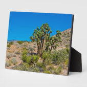 Plaque Photo Le Monument national de Gold Butte (Côté)