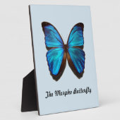 Plaque Photo Le papillon Morpho (Côté)
