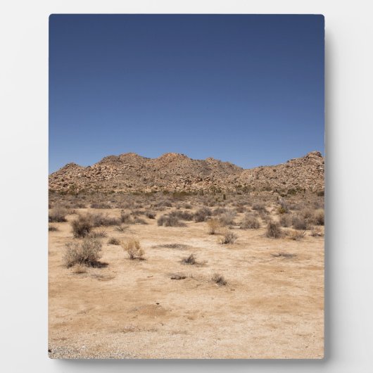 Plaque Photo Le Parc national de Joshua Tree (Devant)