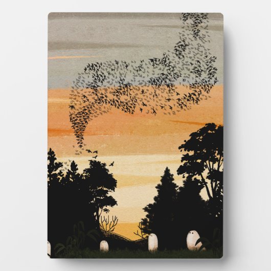 Plaque Photo Le spectacle du soir (Devant)