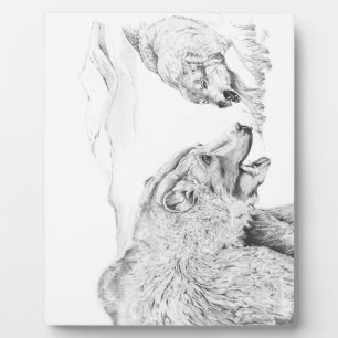 Plaque Photo Le Stand Off ~ 8x10 Avec Eau