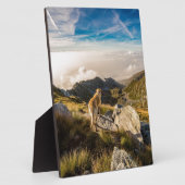 Plaque Photo Le voyage (Côté)