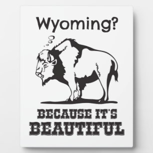 Plaque Photo Le Wyoming ? Parce que c'est beau