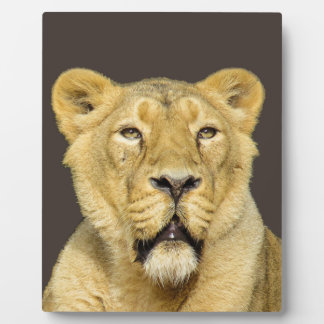 Plaque Photo Leadership motivationnel du lion féminin