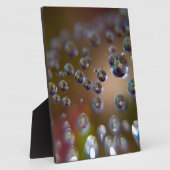 Plaque Photo L'eau en mouvement (Côté)