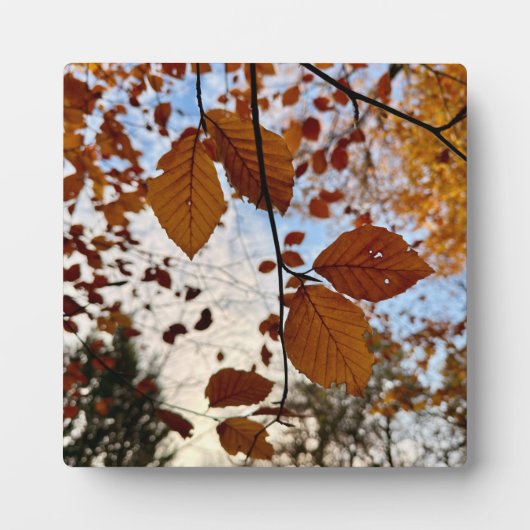 Plaque Photo Leaves (Devant)