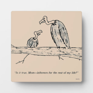 Plaque Photo Leftovers