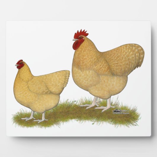 Plaque Photo Lemon Cuckoo (Devant)