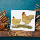 Plaque Photo Lemon Cuckoo (Côté)