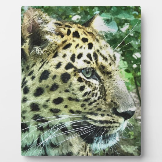 PLAQUE PHOTO LEOPARD (Devant)