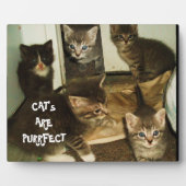 PLAQUE PHOTO LES CHAT SONT PURRRFECT (Devant)