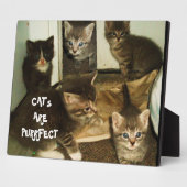 PLAQUE PHOTO LES CHAT SONT PURRRFECT (Côté)