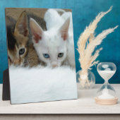 Plaque Photo Les chats ont l'air mignons (Côté)