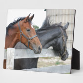 Plaque Photo Les Chevaux d'Amour (Côté)