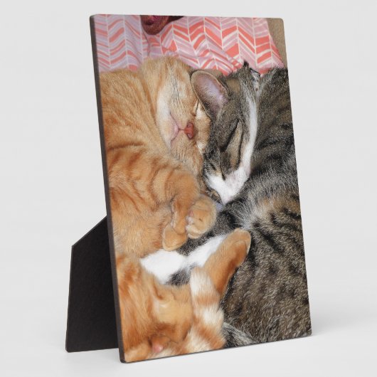 Plaque Photo Les copains (Côté)