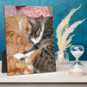 Plaque Photo Les copains (Côté)