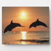Plaque Photo Les dauphins du coucher du soleil (Devant)
