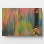 Plaque Photo Les érables | Parc d'état de Silver Falls (Devant)