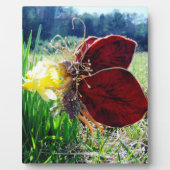 Plaque Photo Les fées dans les jonquilles (Devant)