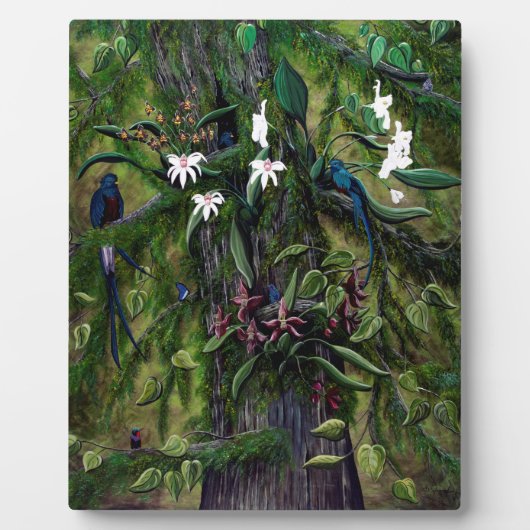 Plaque Photo Les jungles de Tikal (Devant)